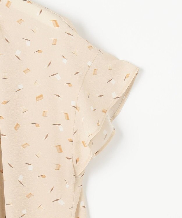 自由区 L 【洗える】ブラッシュドシャドープリント ブラウス シャンパンベージュ系