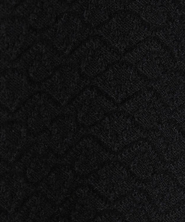 JOSEPH HOMME 【イージーケア】 ヴィスコースリンクス　クルーネックニット ブラック系