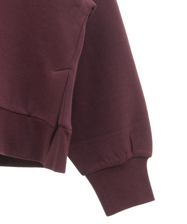 Green Parks 裏起毛フロッキーロゴプルオーバー Dark Red