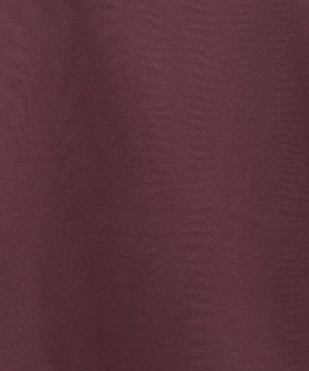 Green Parks 裏起毛フロッキーロゴプルオーバー Dark Red