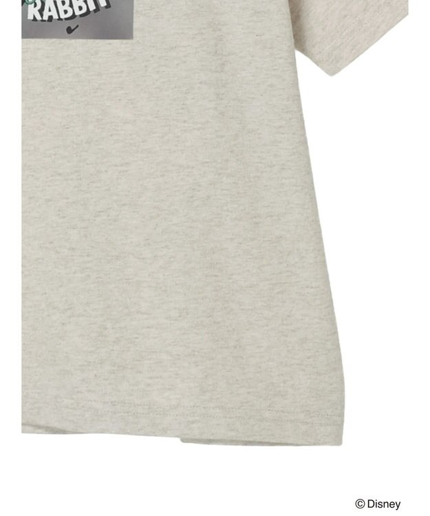 Green Parks オズワルド／グラフィック刺繍半袖ＴＥＥⅡ Oatmeal