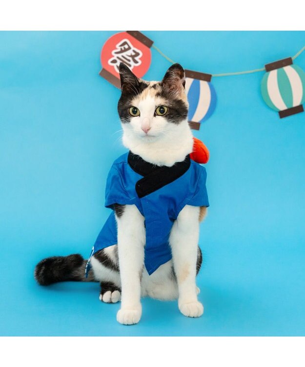 PET PARADISE ペットパラダイス お祭り法被 《金魚》 小型犬 ブルー
