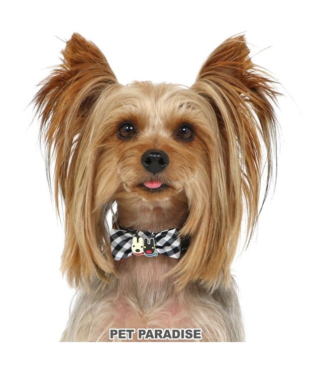 PET PARADISE リサとガスパール おしゃれ 首輪 【ＳＳ】 ギンガムチェック 反射 -