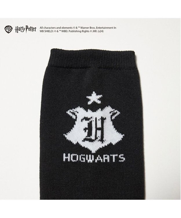 ing <ing>【ハリー・ポッターコラボレーション】エンブレムデザインソックス ブラック