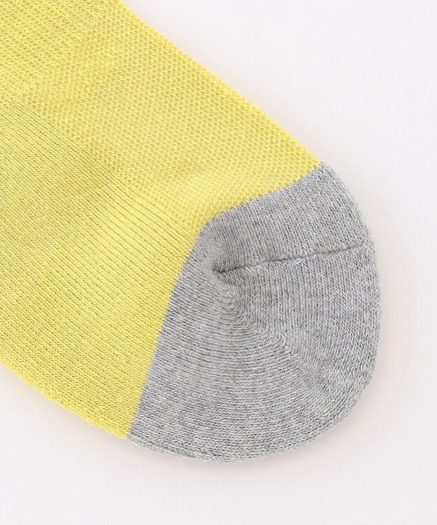 23区GOLF 【MEN】 12センチ丈 ロゴソックス 黄緑系