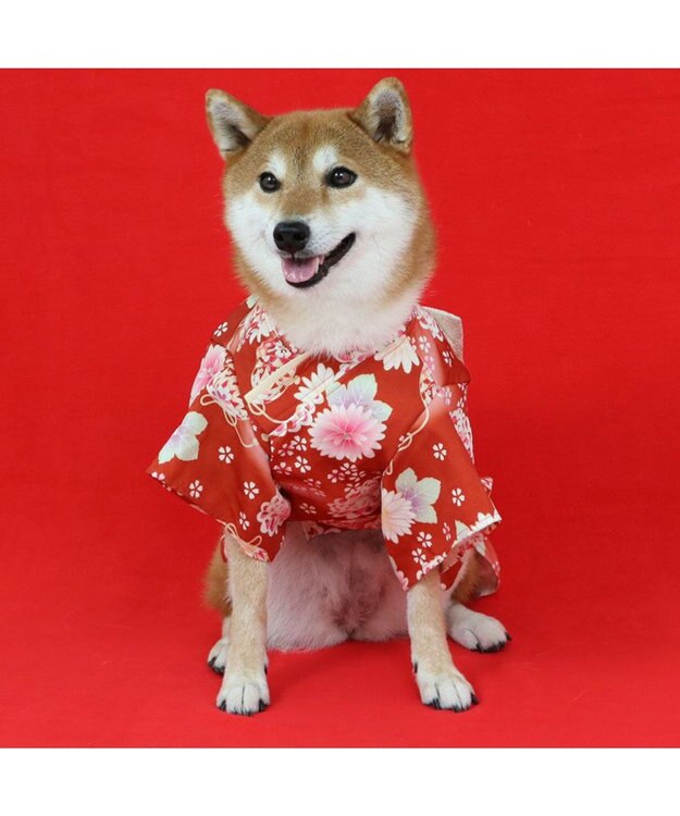 PET PARADISE ペットパラダイス 手毬菊 着物 中型犬 レッド
