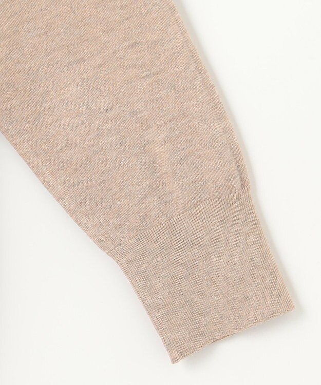 J.PRESS LADIES L 【洗える】スパーク ラメ配色 ニット ベージュ系