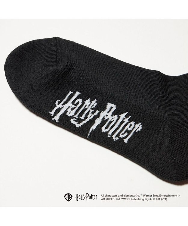 ing <ing>【ハリー・ポッターコラボレーション】エンブレムデザインソックス ブラック