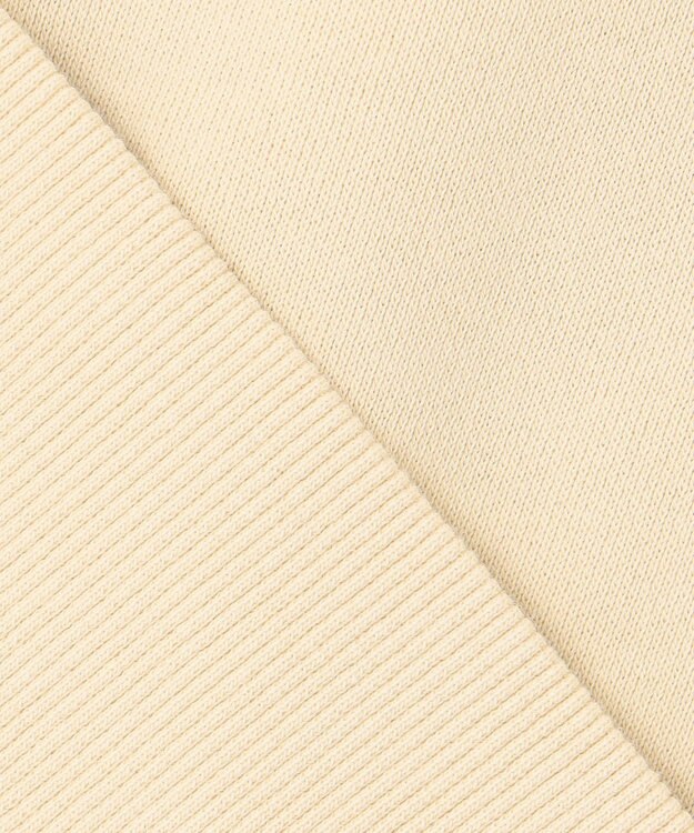 J.PRESS MEN 【WEB・一部店舗限定】フロントプリントスウェット ベージュ系