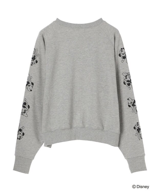 Green Parks Ｄｉｓｎｅｙ／裏毛袖プリントスウェットII Gray Mixture