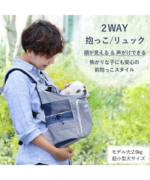 PET PARADISE Ｌｅｅ ハグ＆リュック ヒッコリー キャリーバッグ S 超小型犬 グレー