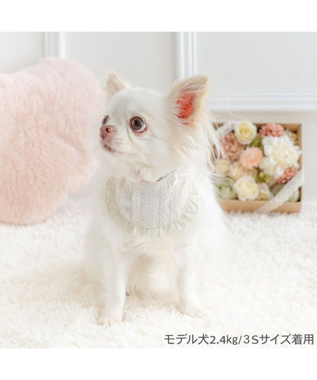 PET PARADISE ペットパラダイス キルティング レース スタイ 小型犬 ホワイト