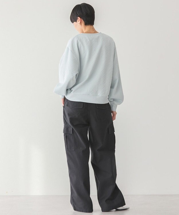 AMERICAN HOLIC ゼブラ柄ジャガードカットプルオーバー Light Blue