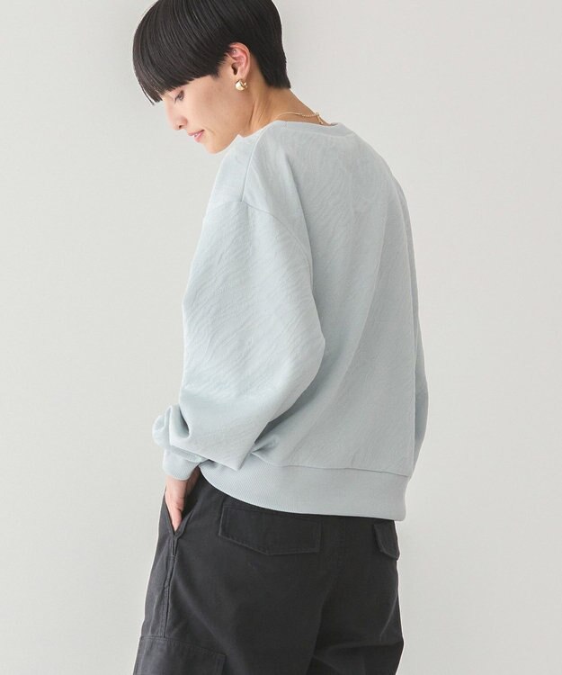 AMERICAN HOLIC ゼブラ柄ジャガードカットプルオーバー Light Blue