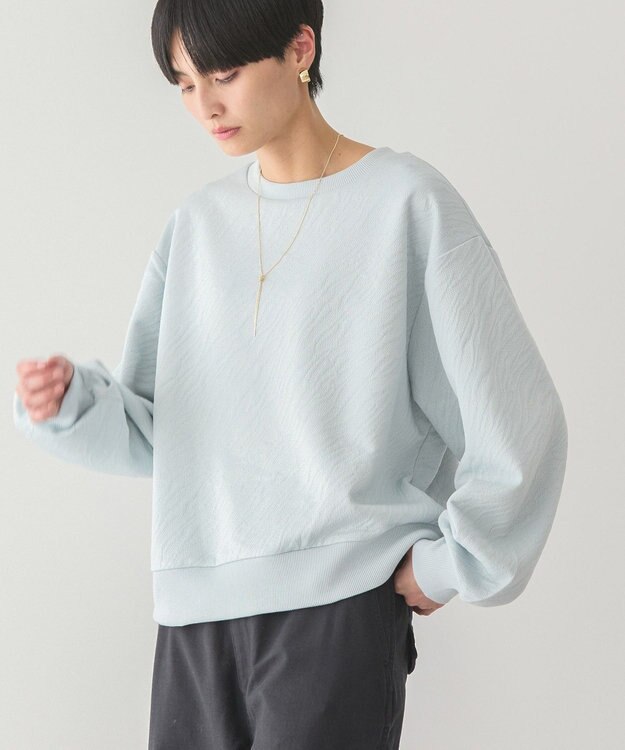 AMERICAN HOLIC ゼブラ柄ジャガードカットプルオーバー Light Blue