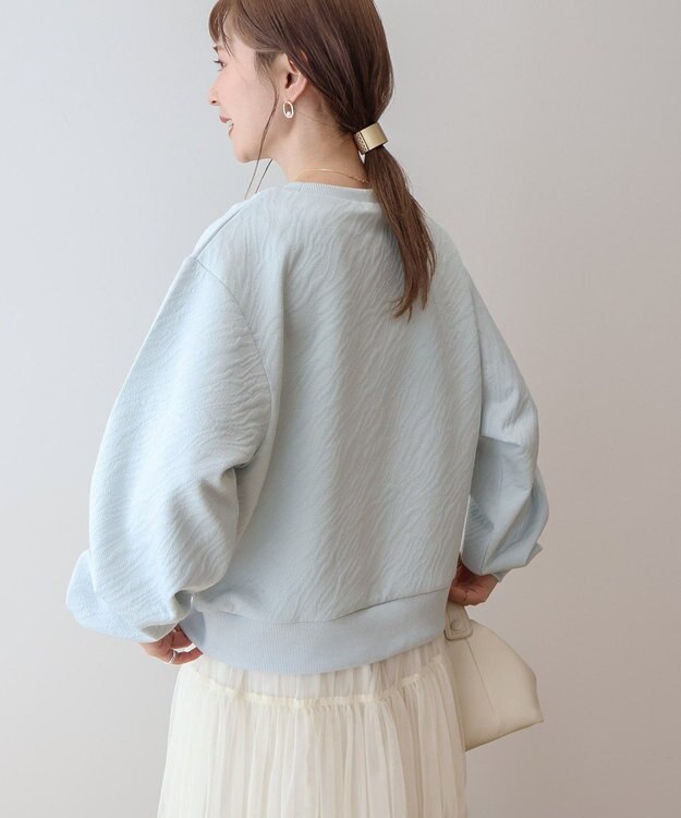 AMERICAN HOLIC ゼブラ柄ジャガードカットプルオーバー Light Blue