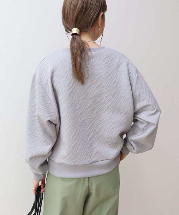 AMERICAN HOLIC ゼブラ柄ジャガードカットプルオーバー Gray