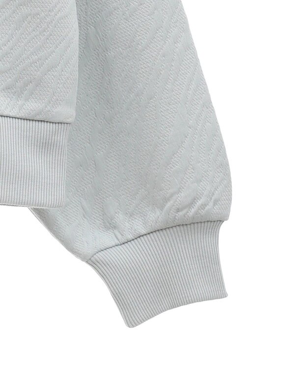 AMERICAN HOLIC ゼブラ柄ジャガードカットプルオーバー Gray