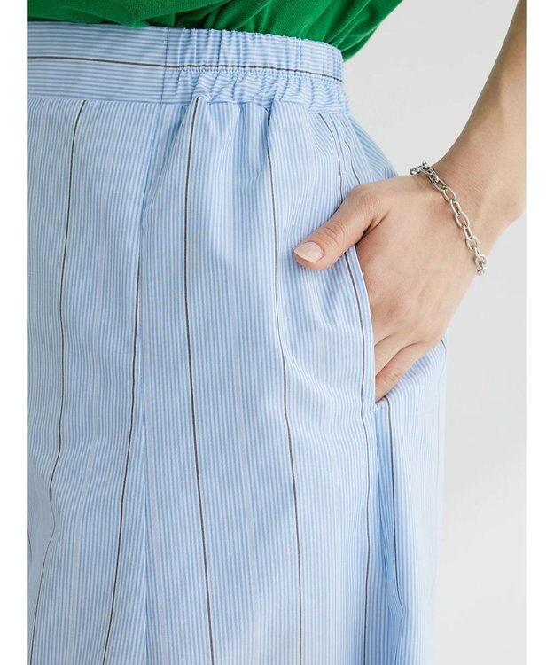 Green Parks ストライプフレアスカート Blue