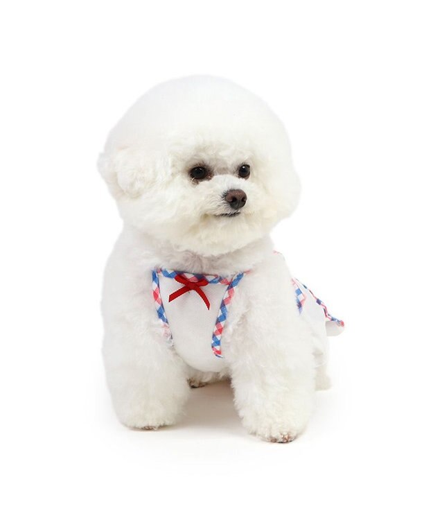 PET PARADISE リサとガスパール エコメイド ワンピース 《チェック》 小型犬 チェック