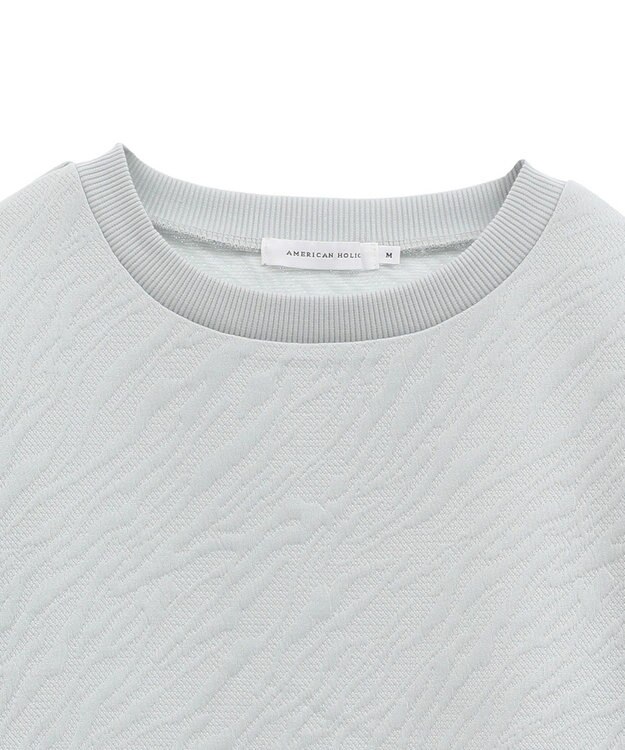 AMERICAN HOLIC ゼブラ柄ジャガードカットプルオーバー Gray