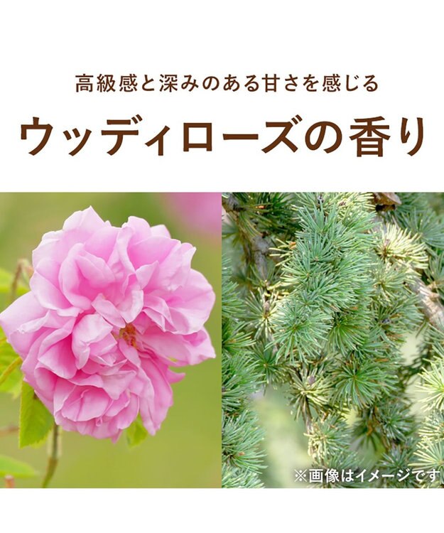 product ザ・プロダクト / ヘアワックス ウッディローズ その他