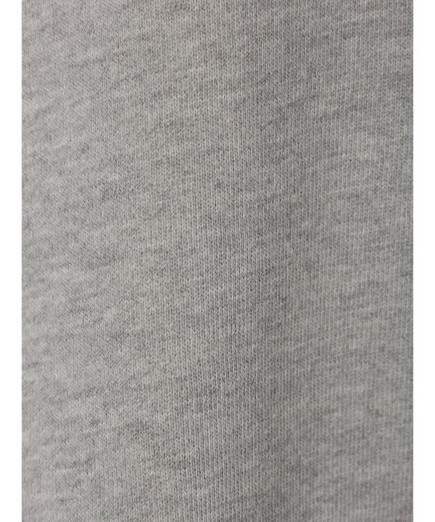 Green Parks Ｄｉｓｎｅｙ／裏毛袖プリントスウェットII Gray Mixture