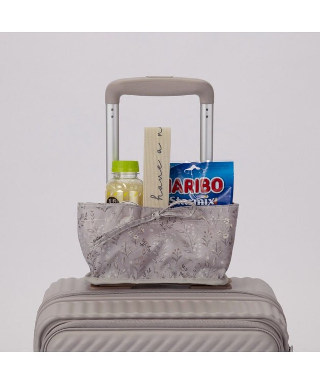 ACE BAGS & LUGGAGE 【雑誌掲載】 HaNT ココント スーツケース 34L 機内持込 フロントポケット付 05513 ハント フォグ・モーブ