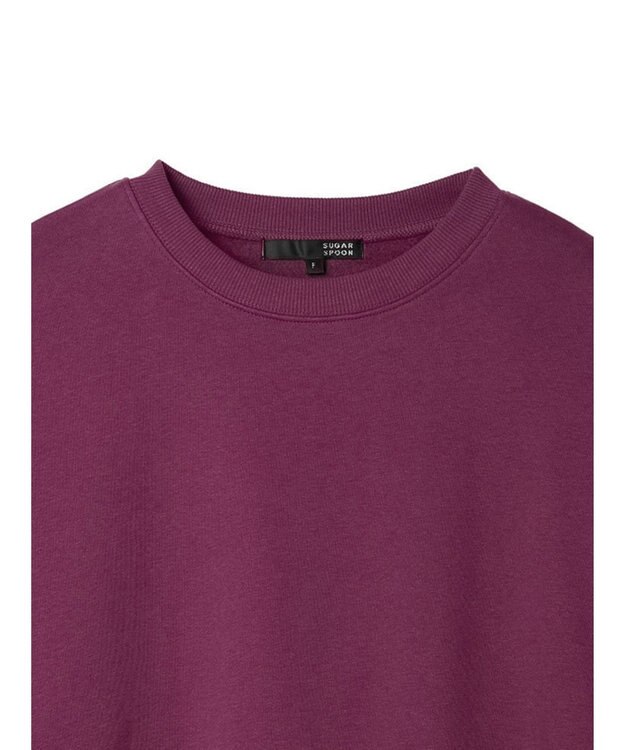 Green Parks ・ＳＵＧＡＲ　ＳＰＯＯＮ　ウラキモウオーバースウェット Plum