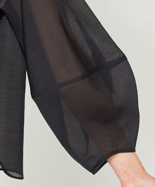 NAVE 【Nave・手洗い可】オーガンジーブラウス ブラック系