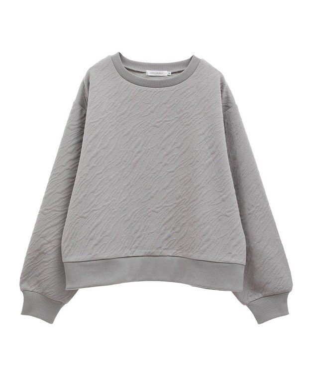 AMERICAN HOLIC ゼブラ柄ジャガードカットプルオーバー Gray