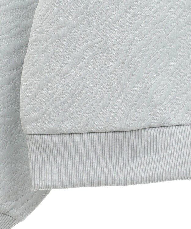 AMERICAN HOLIC ゼブラ柄ジャガードカットプルオーバー Gray