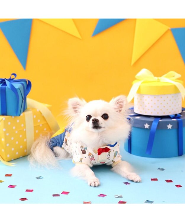 PET PARADISE ディズニー ドナルドダック 90周年 パンツ上下 《パーティ柄》 小型犬 パーティ柄