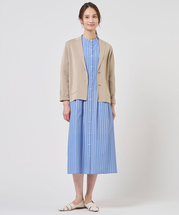 J.PRESS LADIES S TC ハイカウントストライプ シャツ ワンピース ブルーストライプ系