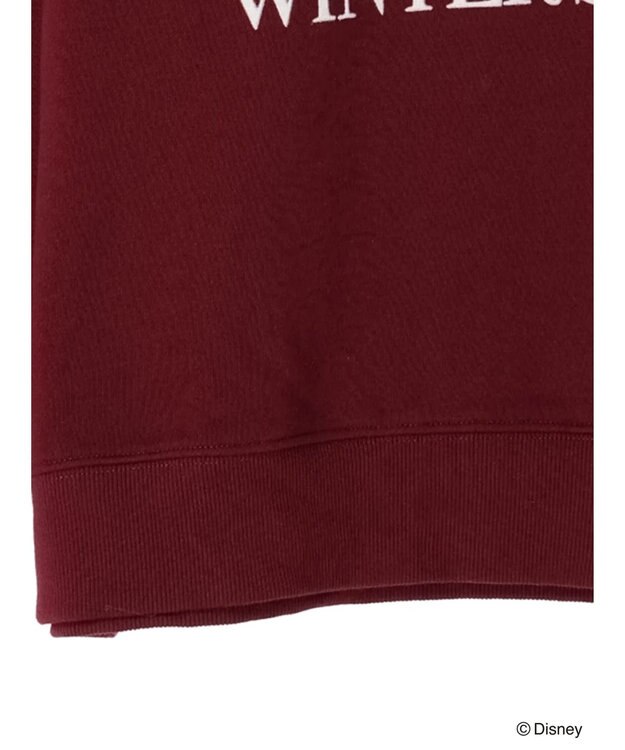 Green Parks Ｄｉｓｎｅｙ／裏起毛フロッキープリントスウェットII Bordeaux