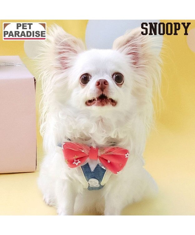 PET PARADISE スヌーピー バースデー ベストハーネス Ｓ ブルー