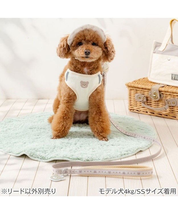 PET PARADISE ペットパラダイス くまちゃん チャームリード ＳＳ～Ｓ ベージュ