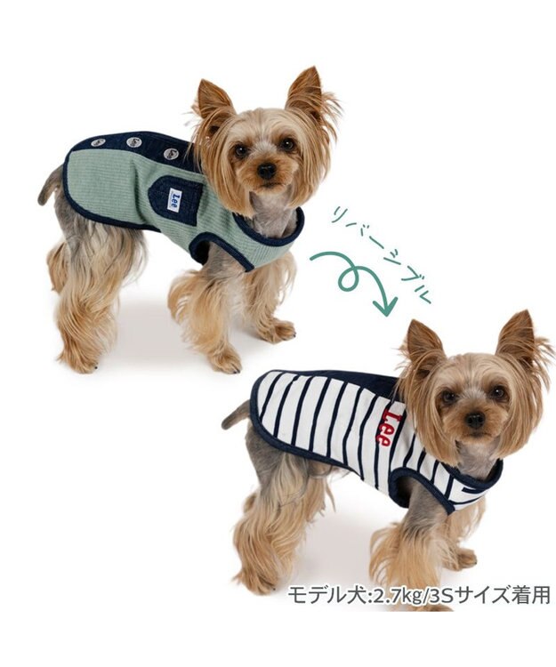 PET PARADISE Lee リバーシブルベスト 小型犬 グリーン