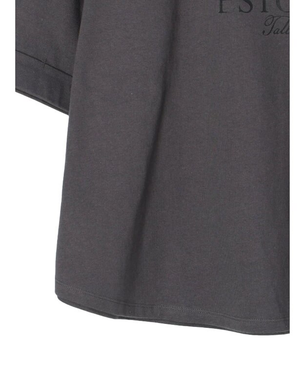 Green Parks インド綿 ＢＩＧサイズアーチロゴ半袖プルオーバー Gray