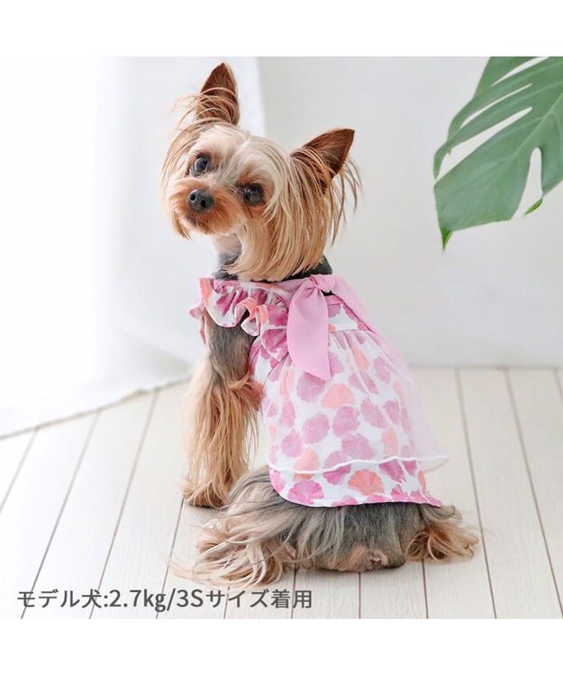 PET PARADISE ペットパラダイス エコメイド ワンピース 《貝柄 パープル》 小型犬 パープル