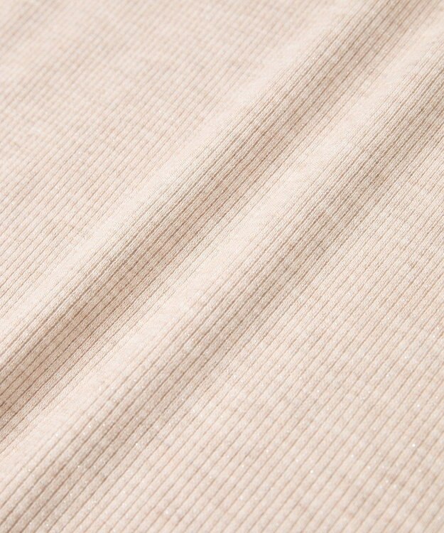 earth music&ecology ラメテレコハイネックプルオーバー Beige