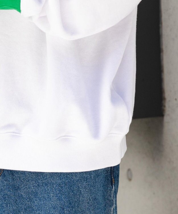 WEGO ヘビーウエイトファンシーロゴプルオーバー 柄3