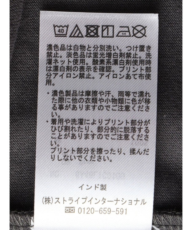 Green Parks インド綿 ＢＩＧサイズアーチロゴ半袖プルオーバー Gray