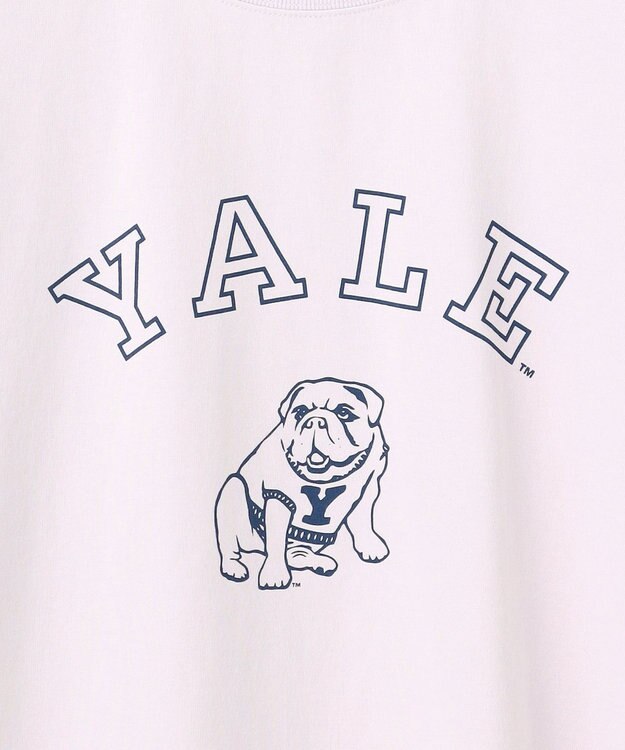 J.PRESS YORK STREET 【UNISEX】YALEブルドックプリント Tシャツ ライラック