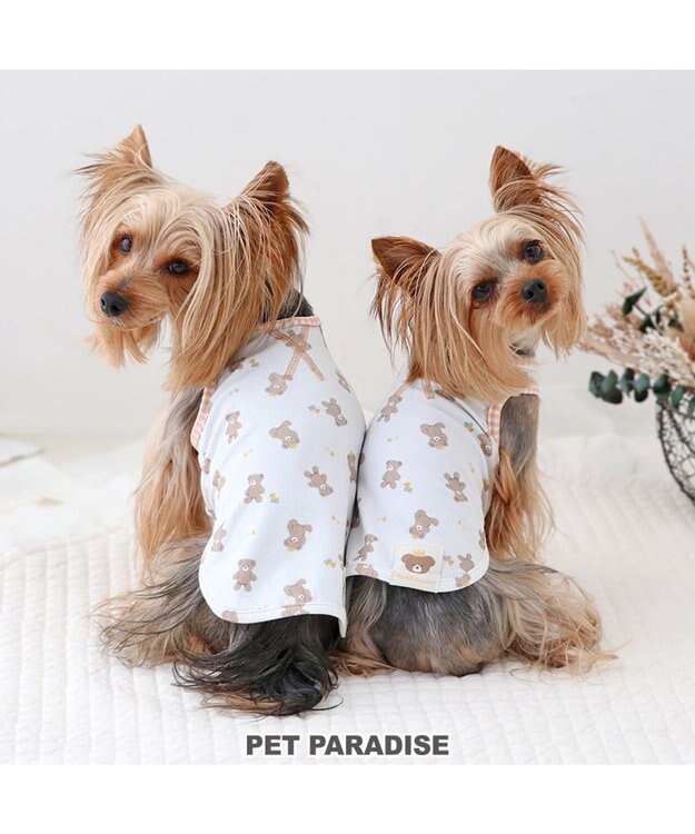 PET PARADISE ペットパラダイス はじめてタンクトップ くまちゃん柄 小型犬 ホワイト