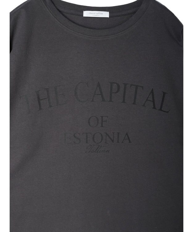 Green Parks インド綿 ＢＩＧサイズアーチロゴ半袖プルオーバー Gray