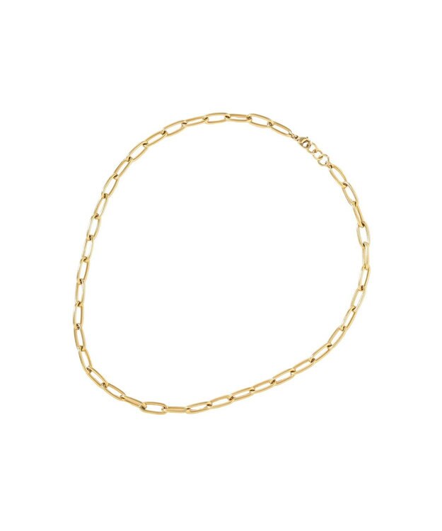 AMERICAN HOLIC 【ステンレス】コイン2連ネックレス Gold