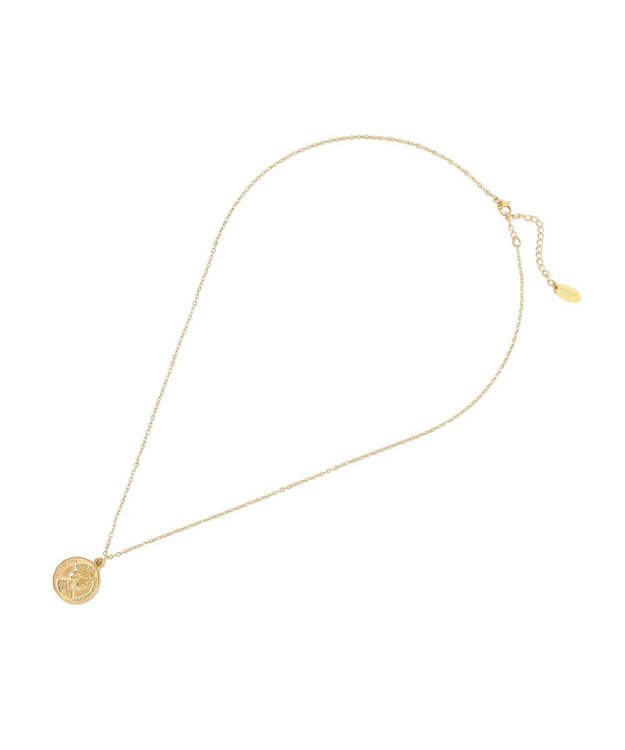 AMERICAN HOLIC 【ステンレス】コイン2連ネックレス Gold