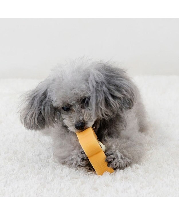 PET PARADISE ペットパラダイス くまトースト トイ ベージュ