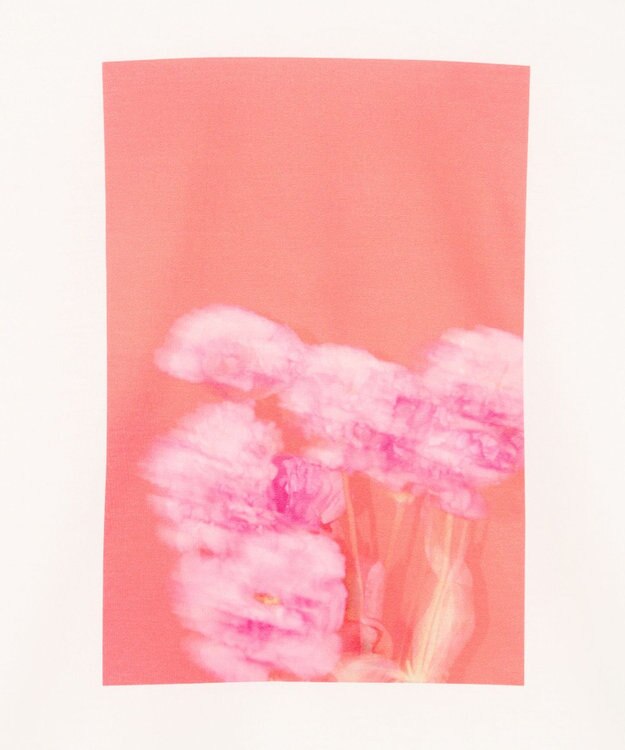 BEIGE， 【洗える・クロワッサン 掲載】PENTAS / オリジナルフォトプリントＴシャツ Turkish bellflower